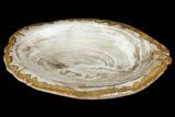 Petrified Wood Dish - Indonesia #176232-2